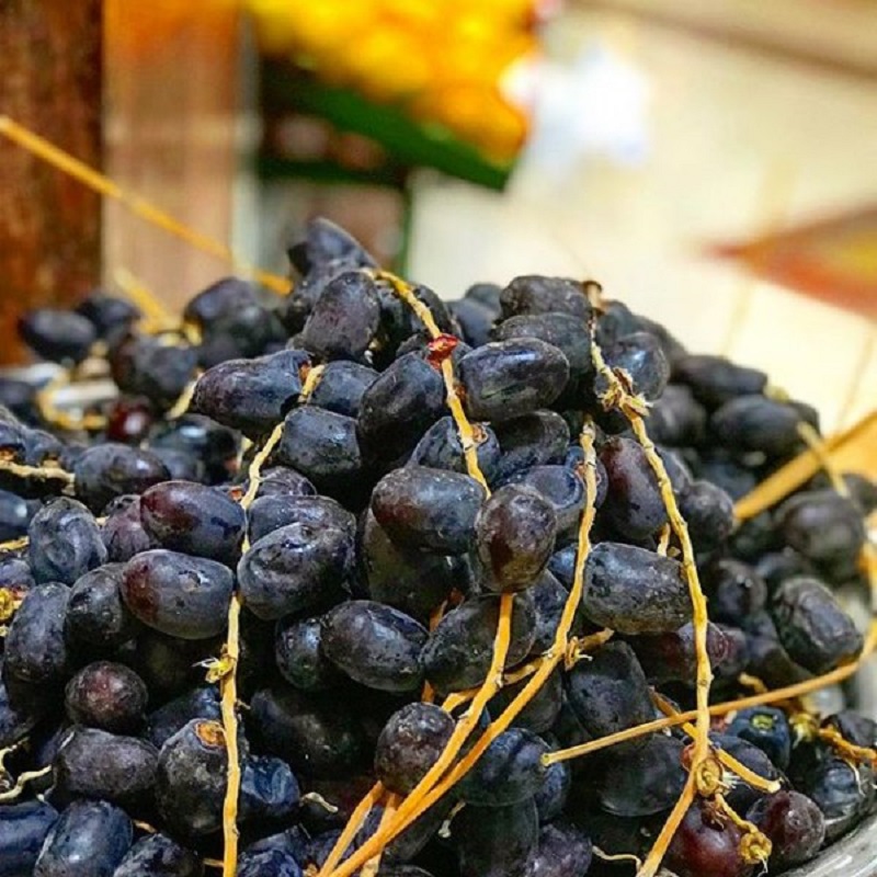 قیمت خرما مضافتی امروز