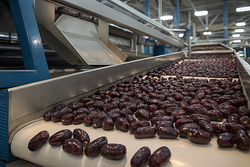 قیمت خرما مضافتی بم